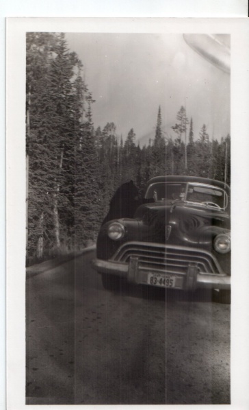File:Les linn photoing bear and grace linn on honeymoon.jpeg